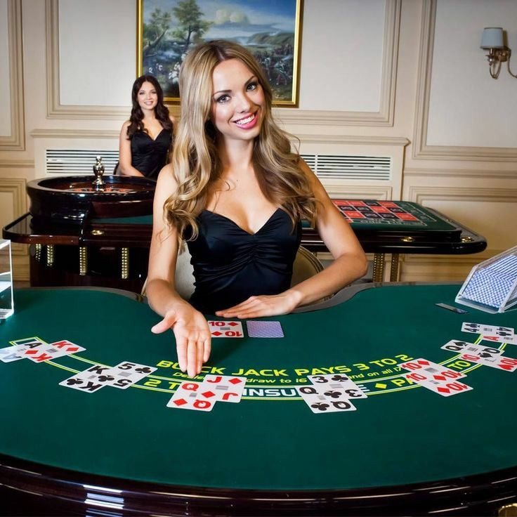 vty51 Live Casino
